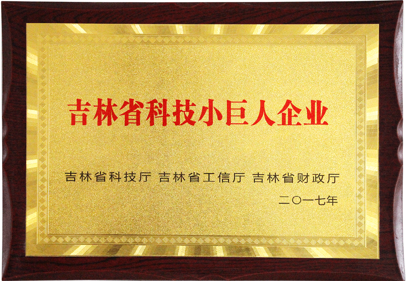 吉林省科技小巨人企業(yè)